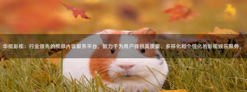 红海行动 星辰影院：华视影视：行业领先的视频内容服务平台，致力于为用户提供高质量、多样化和个性化的影视娱乐服务。
