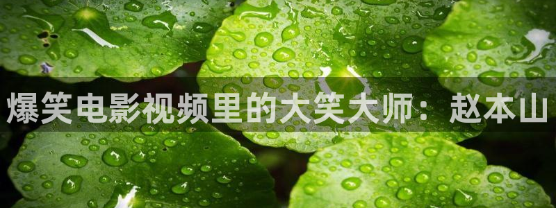 少年派免费观看星辰影视：爆笑电影视频里的大笑大师：赵本山