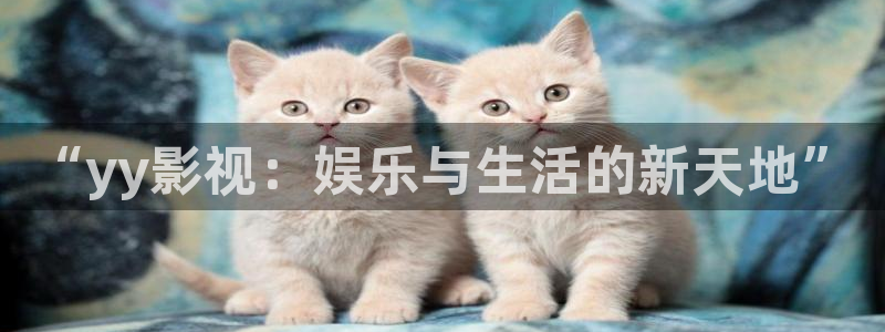 墨雨云间星辰影院在线观看：“yy影视：娱乐与生活的新天地”
