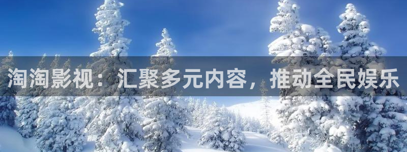 哈利波特1免费观看完整版星辰影院：淘淘影视：汇聚多元内容，推动全民娱乐