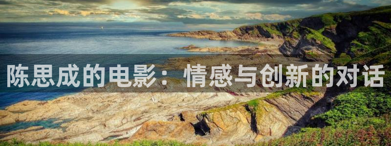 嘘国王在冬眠免费观看完整版星辰影院：陈思成的电影：情感与创新的对话