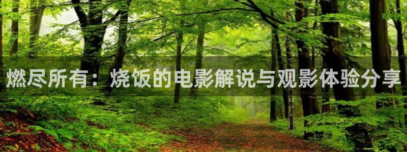 星辰影院春花焰电视剧：燃尽所有：烧饭的电影解说与观影体验分享