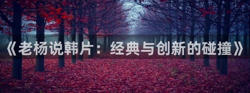 你好星期六2024星辰影视最新：《老杨说韩片：经典与创新的碰撞》