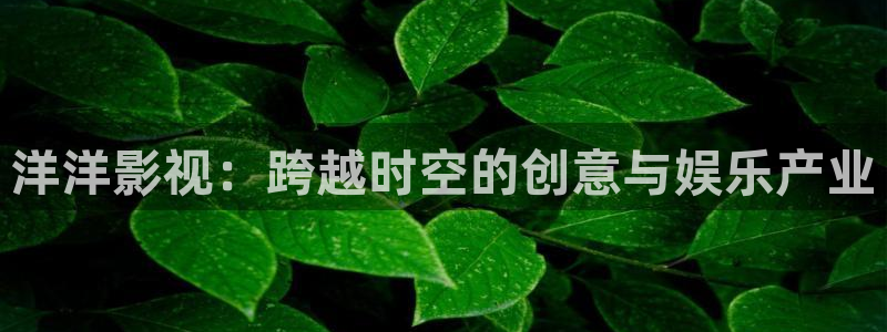 欲望之岛星辰影院