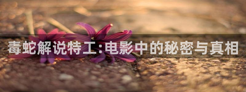 星辰影院手机观看：毒蛇解说特工:电影中的秘密与真相