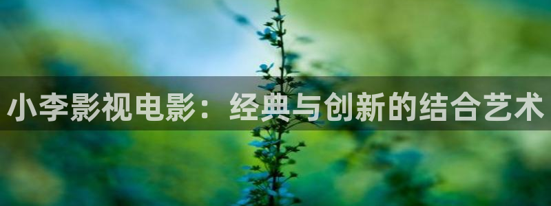 星辰影院免费观看电视剧动漫：小李影视电影：经典与创新的结合艺术