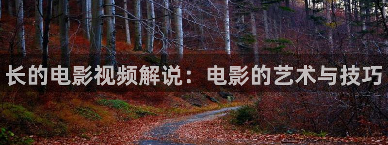 官人我要观看星辰影院：长的电影视频解说：电影的艺术与技巧