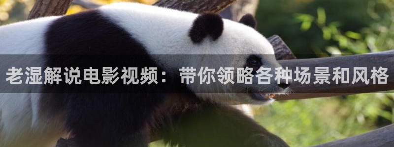 星辰影视免费高清电影在线观看：老湿解说电影视频：带你领略各种场景和风格