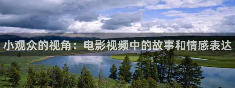 《乌云之上》免费观看星辰影视：小观众的视角：电影视频中的故事和情感表达