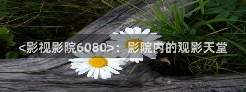 护心电视剧星辰影视
