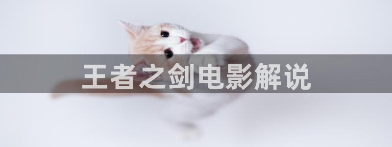 狂飙电视剧星辰影视免费观看