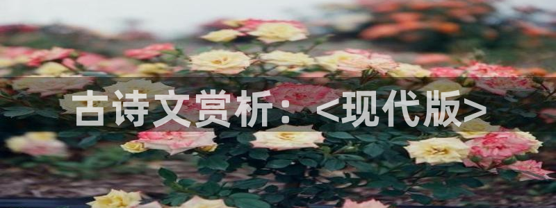雁回时免费观看完整版高清在线星辰影院