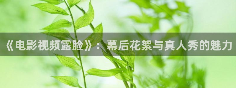 与凤行在线连续剧免费看星辰影院