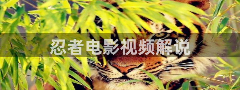 心灵迷雾免费观看星辰影院