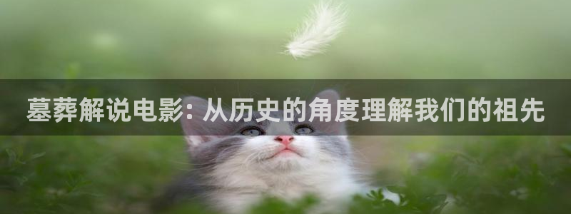 星辰影视大全免费观看最新电视剧