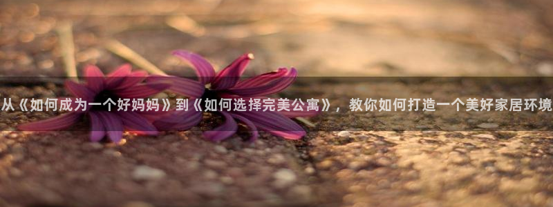 长相思第二季免费观看星辰影院