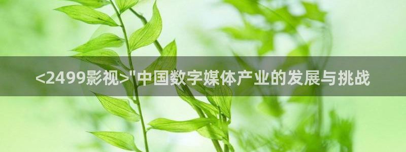 年轻的嫂子2电影在线观看免费完整星辰影院