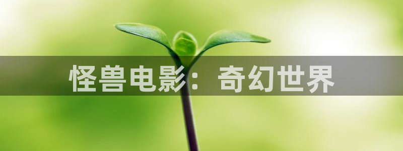 雄狮少年免费高清观看完整版星辰影院