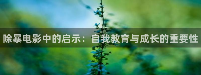 动漫星辰影院