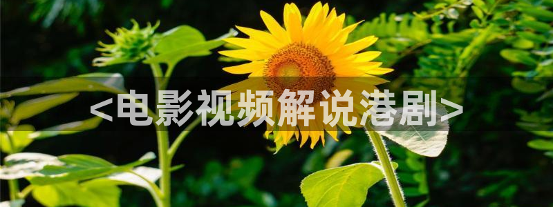 北上电视剧免费观看星辰影院