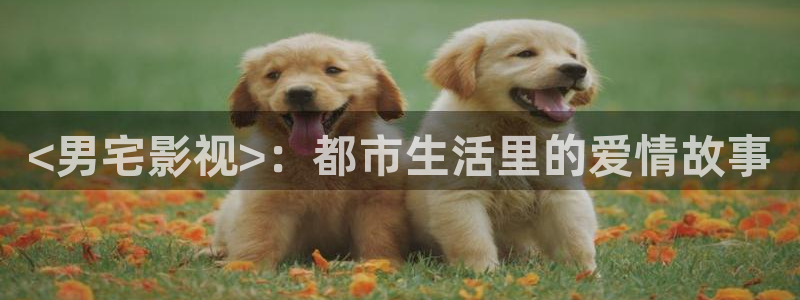 我的妈妈(日语版)无删减星辰影院