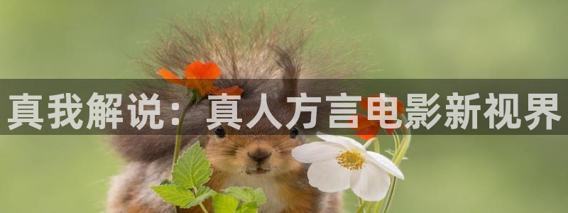 情深深雨蒙蒙星辰影院