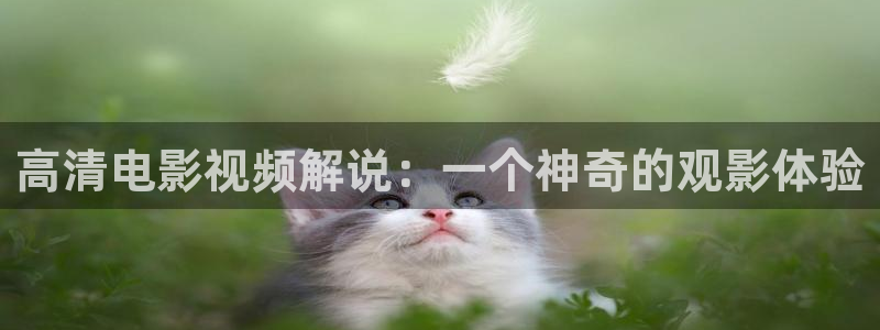 星辰影院在线观看全集免费高清视