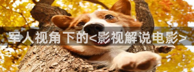 星辰影院苹果：军人视角下的<影视解说电影>