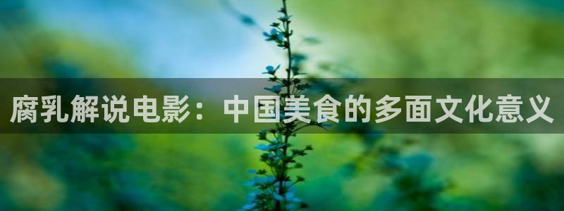 免费影院星辰影院：腐乳解说电影：中国美食的多面文化意义