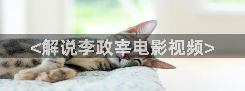 黑兽在线观看星辰影院：<解说李政宰电影视频>