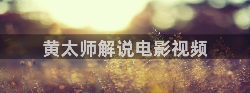 星辰影视大全免费版官网：黄太师解说电影视频