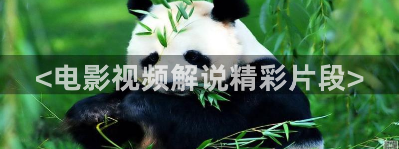 错位电视剧免费观看全集星辰影院：<电影视频解说精彩片段>