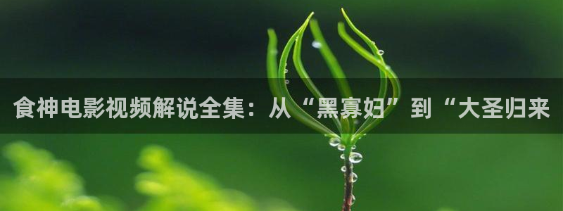 点燃我温暖你电视剧星辰影院免费观看：食神电影视频解说全集：从“黑寡妇”到“大圣归来