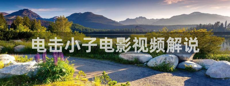 一念永恒星辰影院：电击小子电影视频解说
