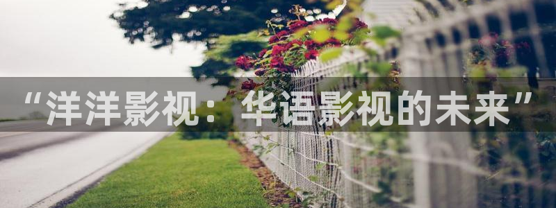 星辰影院人世间在线观看