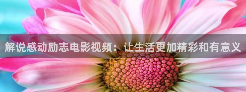 猎罪图鉴第二部免费观看星辰影院：解说感动励志电影视频：让生活更加精彩和有意义