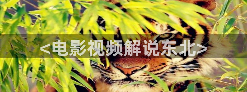 感官世界星辰影院：<电影视频解说东北>