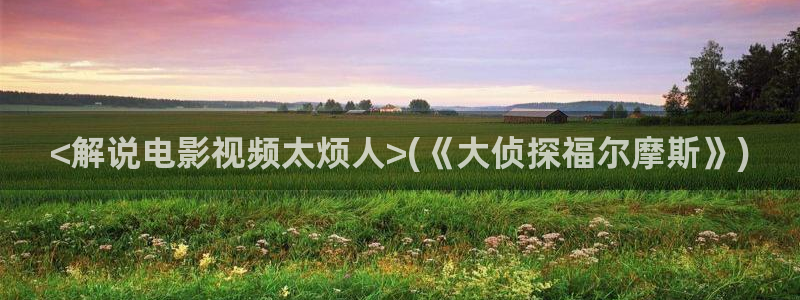 星辰视频影院怎么播放：<解说电影视频太烦人>(《大侦探福尔摩斯》)