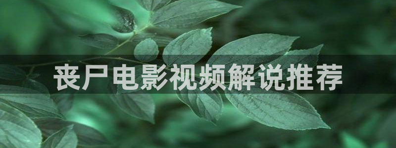 觉醒年代星辰影视