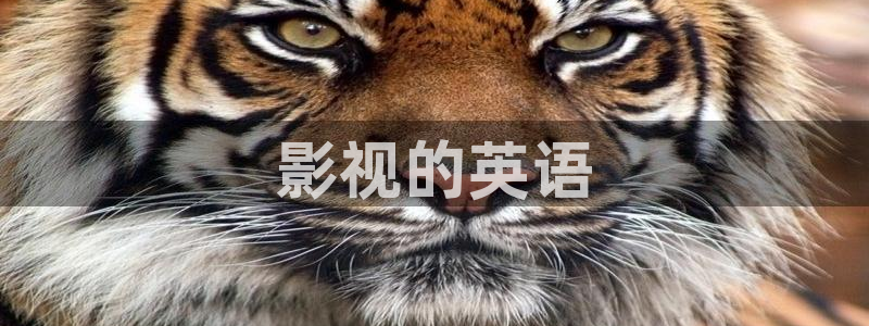星辰影院沉默的真相免费观看