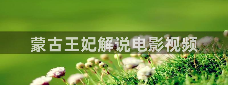 与凤行电视剧免费观看星辰影院