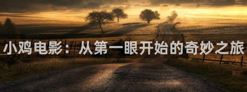 妈妈的朋友5星辰影院