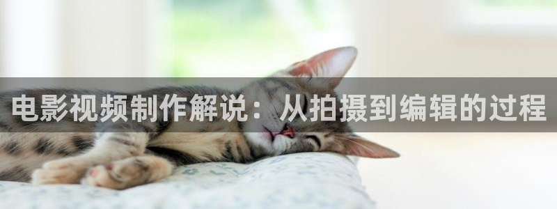 星辰影院楚乔传第二部