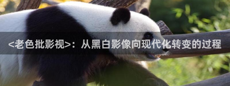 天堂电影院星辰影院