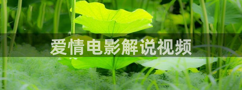 2022中国好声音星辰影院