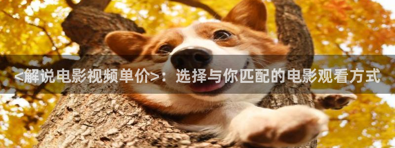 策驰影院在线观看星辰影院