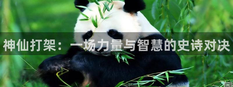 星辰电影免费播放在线观看