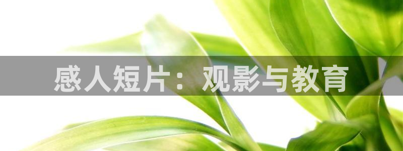 追风者电视剧星辰影院
